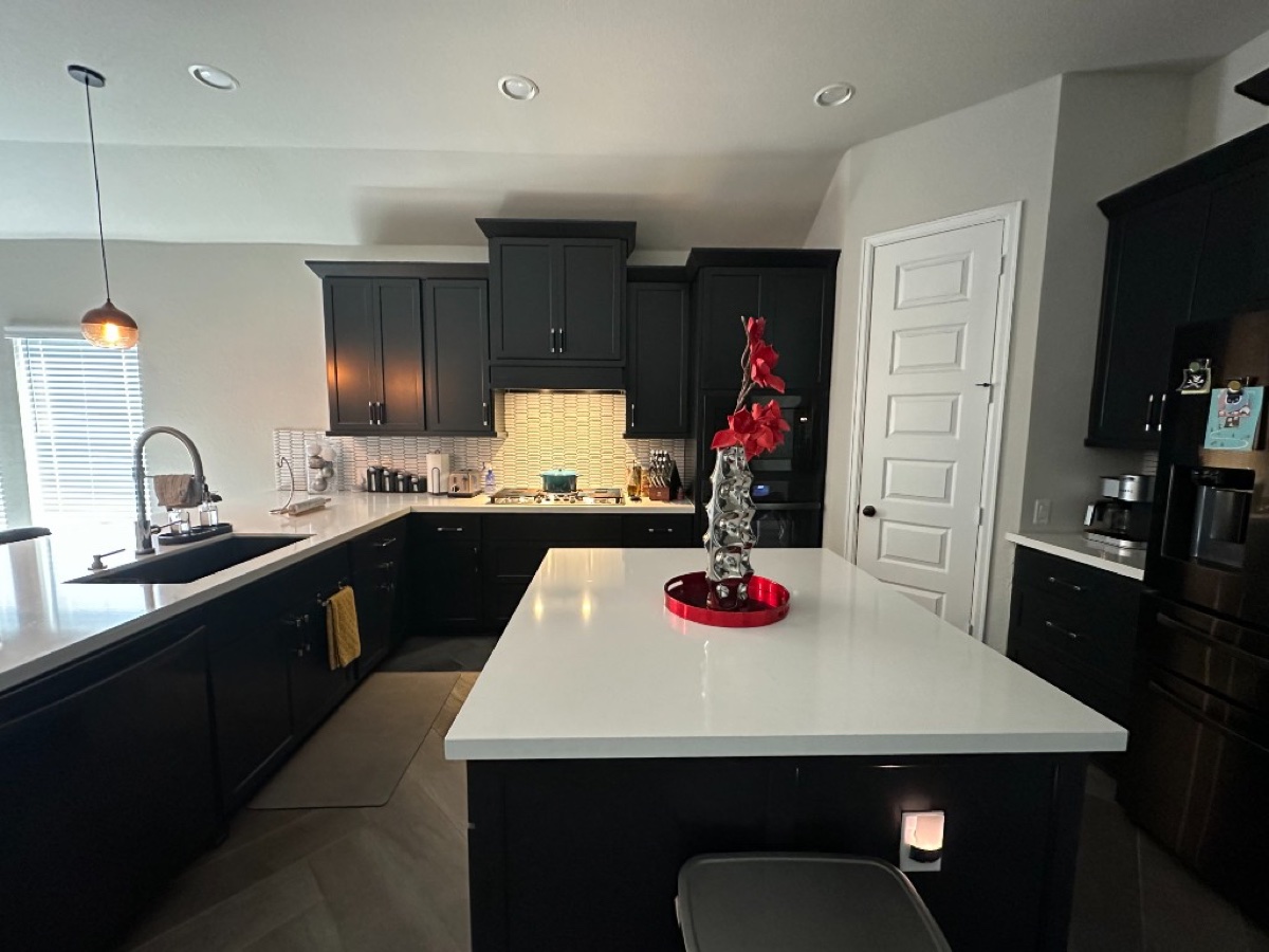 Kitchen with black shaker cabinets and white quartz counters